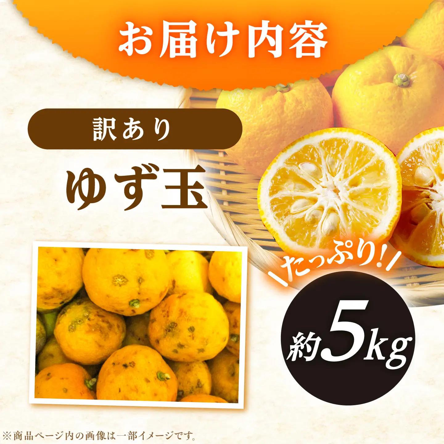 【訳あり】【11月より順次発送】 かさぎのゆず ゆず玉 5kg / 恵那市 / かさぎゆず組合[AUAW019]