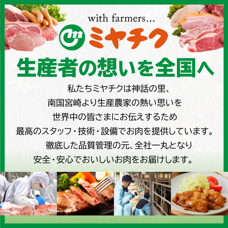 S-BB141-24_≪内容量が選べる≫数量限定 宮崎牛 肩ロース スライス 400g 800g 肉質等級4等級以上 牛肉 黒毛和牛 国産 食品 おかず 最高級 ブランド牛 宮崎県 日南市 送料無料_