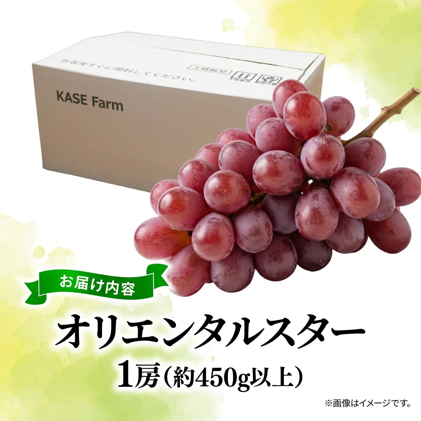 訳あり ぶどう オリエンタルスター 1房 450g 以上 数量限定 種なし ぶどう