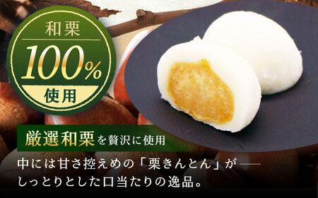 栗きんとん大福8個入り / 栗 くり くりきんとん 大福 だいふく 和菓子 ギフト / 恵那市 / 銀の森[AUBG052]