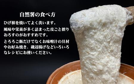 那須町産 自然薯 2kg 化粧箱入り ◇ | とろろ〔P-352〕 ※2026年12月～発送