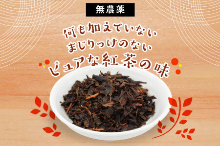 何も加えてない・ピュアな紅茶★無農薬 田峯紅茶 5袋セット 紅茶 ホット アイス アイスティー 茶 -022