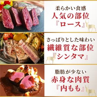 北見エゾシカ 熟成肉山の恵みセット ( 肉類 肉 国産 鹿肉 熟成 詰め合わせ ロース しんたま 内もも ステーキカット肉 ハバキカット ハツ ヒレ ステーキ用スライス )【025-0030】