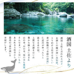 酔鯨 純米大吟醸 DAITO 2025 贈答用 720ml×1本 高知県土佐市 【株式会社とさもん】 [BQAE102]