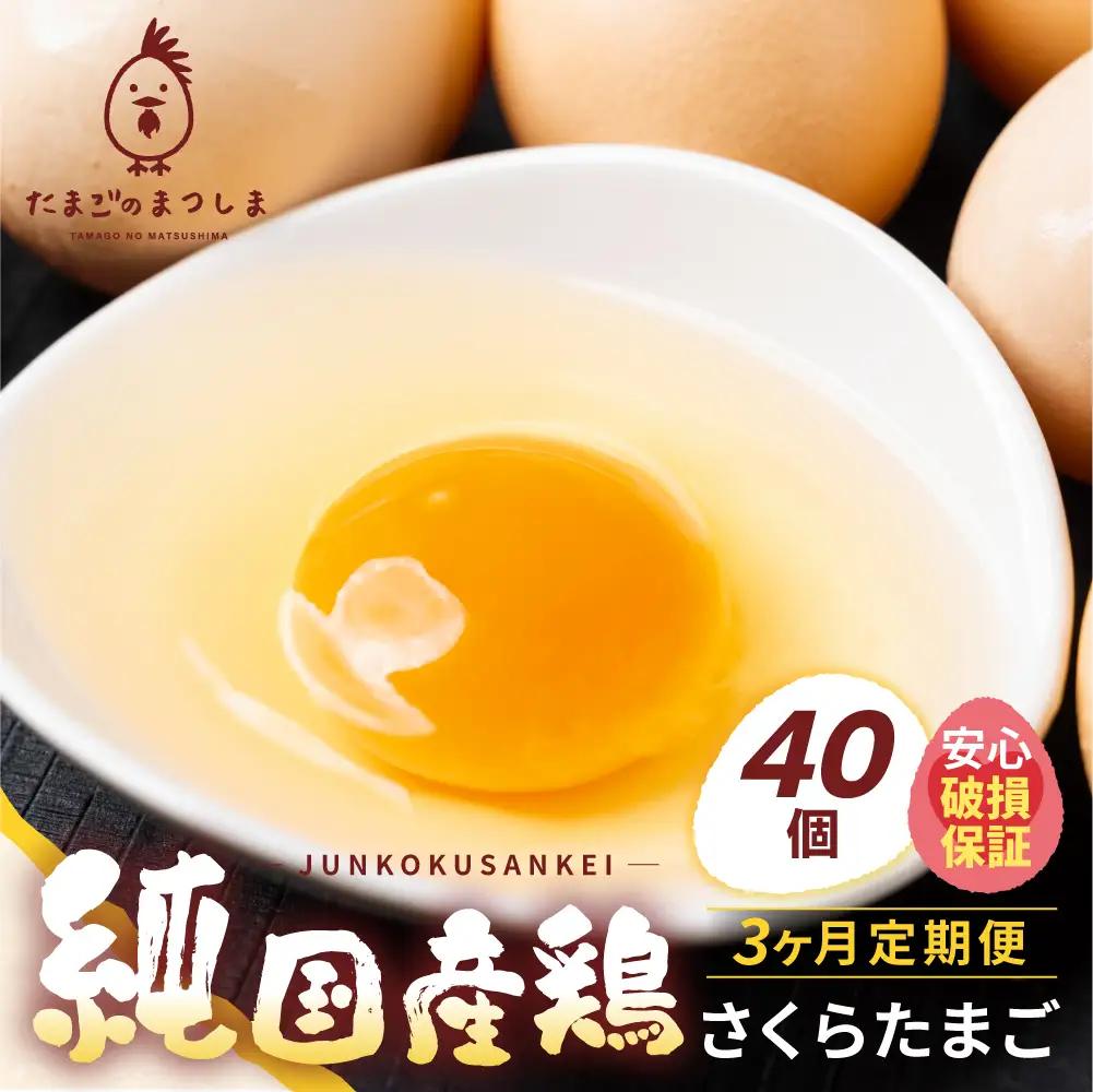 【定期便 3ヶ月】純国産鶏 さくら卵 40個｜卵