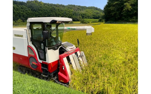 ＜定期便＞【令和8年度】新米 こしひかり（精米）5kg【3ヶ月】鈴鹿山麓の銘水が育てた米 │ 米どころ 三重県産 小山田地区  小山田米  米 コメ 白米 精米