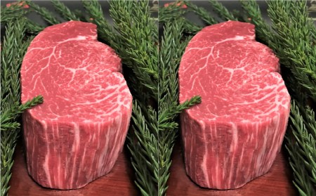 飛騨牛 5等級 ヒレ肉 ヒレステーキ 厚さ3cm以上 2枚で600g 希少 BBQにも 古里精肉店[Q552]