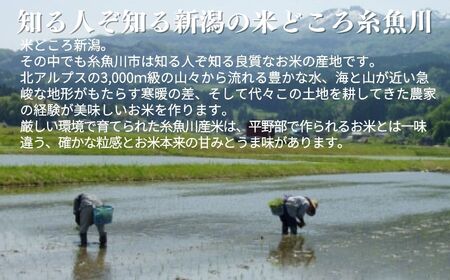 新潟県産コシヒカリ 2kg『ひすいの里』農家自慢の特選米 糸魚川 令和5年産 こしひかり