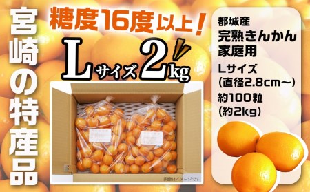 【2月～3月お届け】都城産完熟きんかん 家庭用2kg (Lサイズ)_11-B503_(都城市) 都城産 完熟きんかん きんかん Lサイズ 約2kg 柑橘類 2月～3月お届け 家庭用