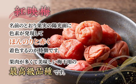 梅干し 合計800g 甘くない梅干し 2つ 梅干し