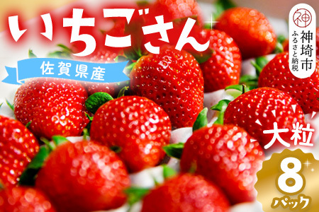 【先行受付 令和7年1月より発送】佐賀県産『いちごさん』8Pセット【苺 イチゴ ブランドいちご 大粒 果物 フルーツ デザート ふるさと納税】(H108102)