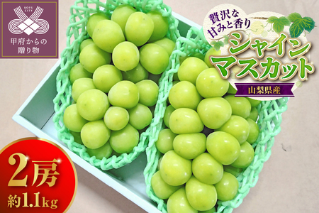 【2025年配送分】シャインマスカット 2房 約1.1ｋｇ
