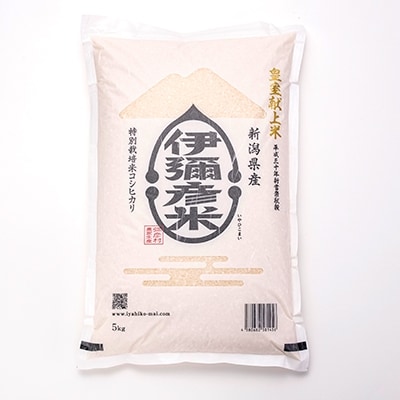 【伊彌彦米とパックごはんセット】精米5kg×2袋　パックごはん4パック