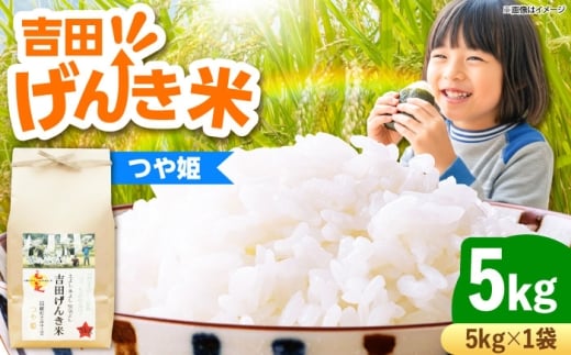 お米 吉田げんき米つや姫 5kg つやひめ げんき 米 こめ おこめ はくまい 白米 ライス 精米 コメ 5キロ 使いやすい ごはん ご飯 おにぎり お弁当 朝ごはん 便利 朝食 食卓 主食 グルメ おいしい ふっくら もちもち 食感 国産 新生活 一人暮らし 家族 家庭用 ご当地 ごはんソムリエ おうちごはん おすすめ 人気 島根県雲南市/有限会社藤本米穀店[AIDB123]