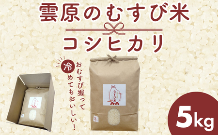 令和7年産 雲原のむすび米 コシヒカリ (5kg) ふるさと納税 福知山市 こしひかり コシヒカリ 米 お米 コメ 白米 おむすび おにぎり 精米 【fc-EP001】【京都、雲福・結農園】