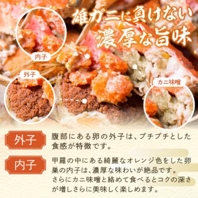 ふるさと納税 京丹後市 【訳あり】茹でセイコガニ(セコ蟹/香箱ガニ/こっぺ)　5匹【冷凍】 冷凍ガニ 貴重なめす蟹をどうぞ |  | 02