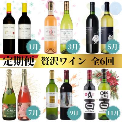 ふるさと納税 甲州市 【発送月固定定期便】甲州市贅沢ワイン定期便全6回