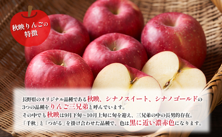 訳あり りんご JA信州うえだ 合戦りんご 秋映 約10kg リンゴ 林檎 果物 くだもの フルーツ 信州 長野 離乳食 訳アリ わけあり 傷