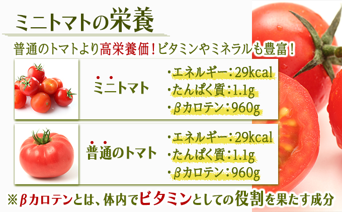 訳ありミニトマト / 訳あり 訳アリ ミニトマト プチトマト トマト / 諫早市 / 原農園 [AHCZ001]