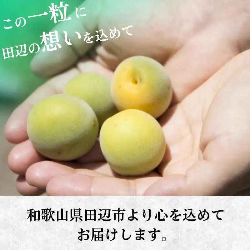 紀州南高梅 青梅 3kg /紀州 うめ 梅干し あおうめ【tcs021】