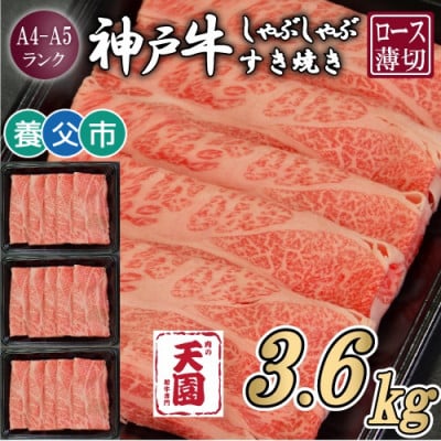 【毎月定期便】【ふるさと納税】神戸牛 霜降り 肩ロース しゃぶしゃぶすき焼き1200g×全3回【配送不可地域：離島】【4083898】