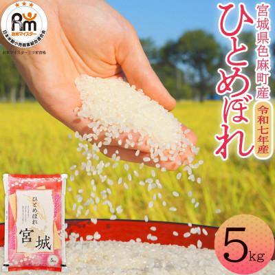 ふるさと納税 色麻町 【令和7年産】宮城県　色麻町　ひとめぼれ　精米　5kg