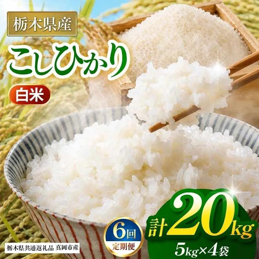 【栃木県共通返礼品】【定期6回】【令和８年度産】コシヒカリ 20kg お米  米 | 栃木県 那珂川町 送料無料