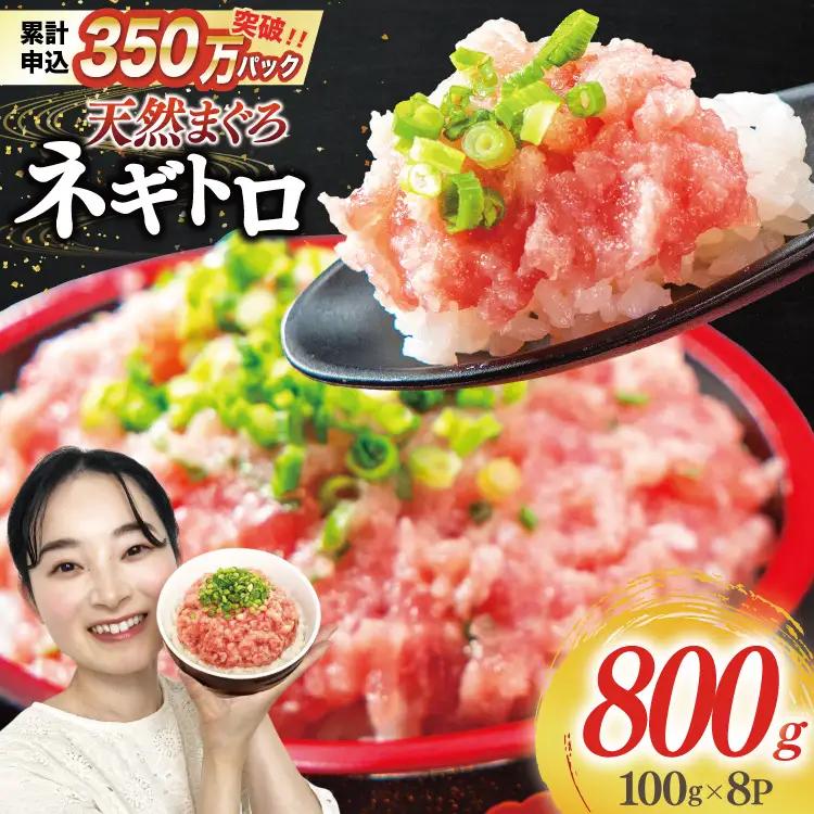【ふるなび限定】 ねぎとろ 800g [22424644-a] ねぎとろ FN-Limited-SP