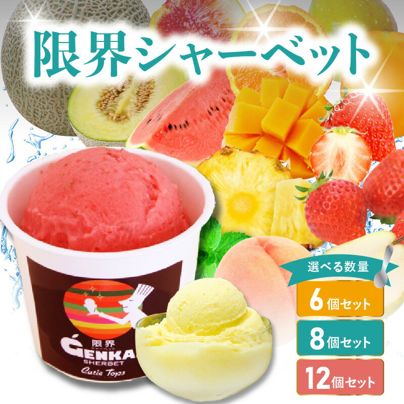 【ふるさと納税】 《レビューキャンペーン》限界シャーベット アイス【選べる個数】6個～ 季節の果物の限界シャーベット 和三盆 アイスミルク ストロベリー ミルク 詰め合わせ 水不使用 果物 イタリアンジェラート デザート スイーツ お取り寄せ セット 旬 フルーツJ06005