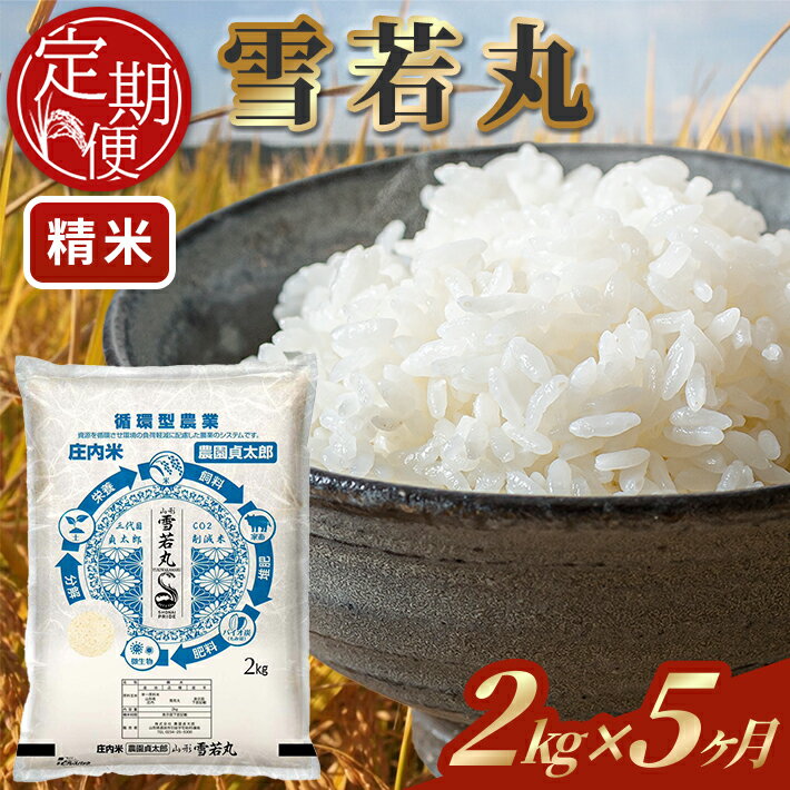 【ふるさと納税】≪5ヶ月定期便≫ 雪若丸 精米 2kg×5ヶ月連続 計10kg 令和7年産 山形県産 ご希望期間の毎月下旬にお届け 白米 庄内米 米 ごはん ご飯 一人暮らし 少人数 小分け 酒田市 庄内 山形県 東北 定期便 5回