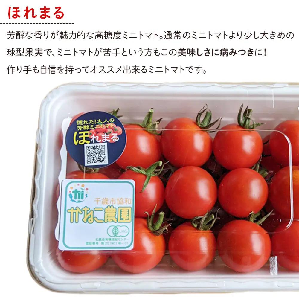 【2026年8月中旬より発送】有機JAS認定！小玉スイカ１玉＆有機ミニトマト500ｇ×2【かねこ農園】 小玉西瓜 ピノガール トマト 有機 野菜 北海道ふるさと納税