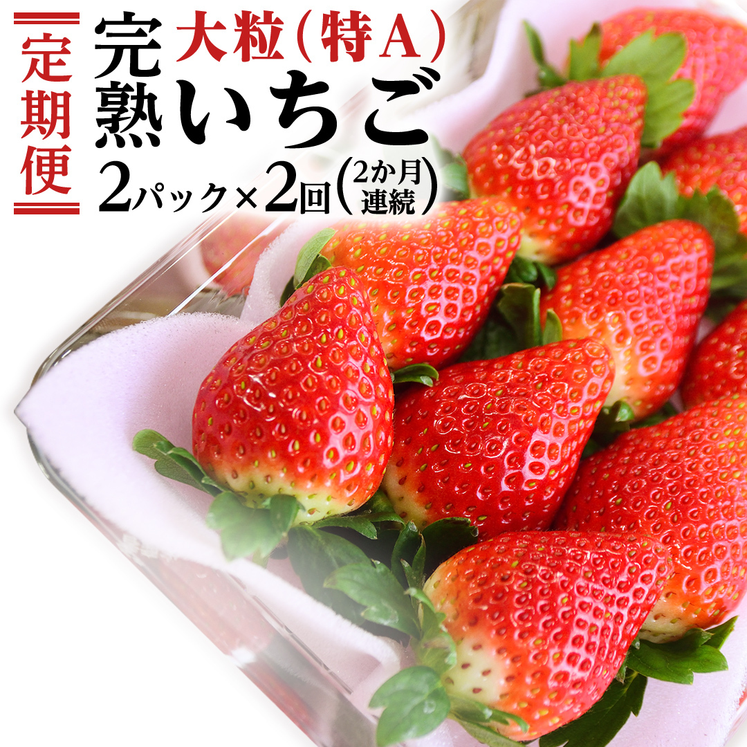 【2ヵ月 定期便】 完熟 いちご 定期便！ 2パック × 2回 合計 4パック （1P約280g） 定期便 国産 いちご イチゴ 苺 果物 かおり野 とちおとめ やよいひめ フルーツ 茨城県産 KEK