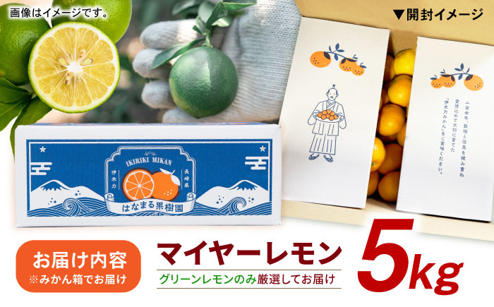 【グリーンレモンのみお届け】マイヤーレモン 5kg / レモン れもん 檸檬 果汁 グリーンレモン ぐりーんれもん 柑橘 フルーツ ふるーつ 果物 くだもの / 諫早市 / 山野果樹園 [AHCF01