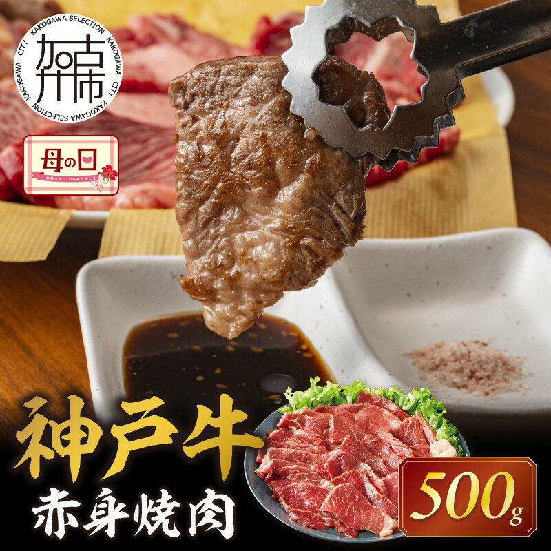 【ふるさと納税】＼母の日／★選べる発送月★神戸牛赤身焼肉(500g)《 肉 牛肉赤身 神戸牛 焼肉 国産 バーベキュー 和牛美味しい ギフト お取り寄せ おすすめ 選べる発送月 選べる発送月 贈答用 ギフト プレゼント 贈り物 》