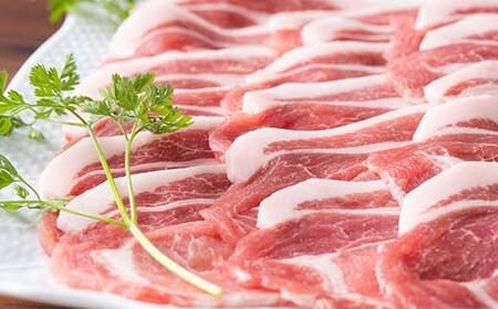 米澤豚一番育ち ロース とんかつ用 700g (100g×7枚) & ロース 焼肉用 700g ブランド豚 豚肉 山形県 南陽市 [1870]