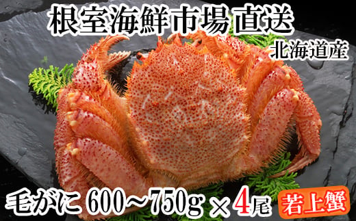 D-14066 ボイル毛がに600～750g×4尾(若上蟹)