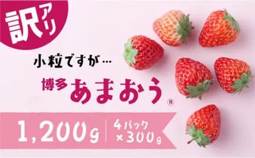 AB380.【訳あり.限定品】博多あまおう.小粒ですが約１２００g（先行受付．２０２７年２月以降発送）