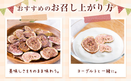 【2ヶ月定期便】天草 ドライいちじく30g 2袋 無花果 いちじく