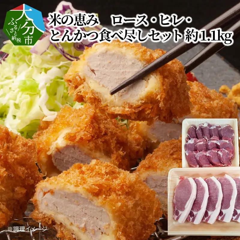 米の恵み　ロース・ヒレ・とんかつ食べ尽くしセット　約1.1kg A02023
