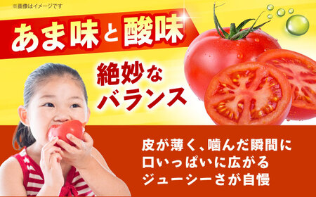 【1～4月発送】 訳あり トマト （カレン） 2kg 【にしやまファーム】[HDI001]