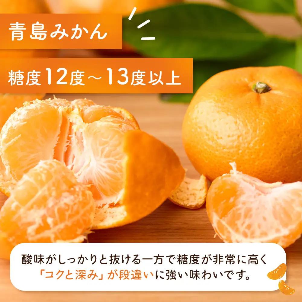 青島みかん5kg | 湯河原町 みかん 柑橘 旬 青島みかん 5kg フルーツ