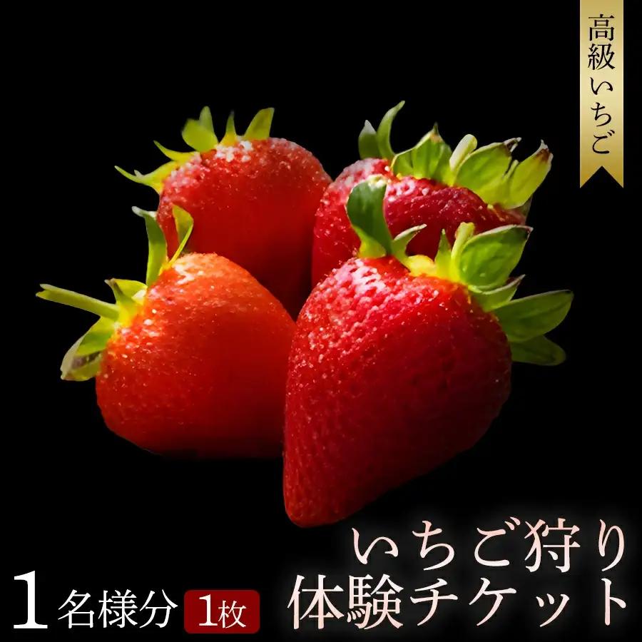 【体験】いちご狩り体験チケット ( 1名様分) 【maato001A】