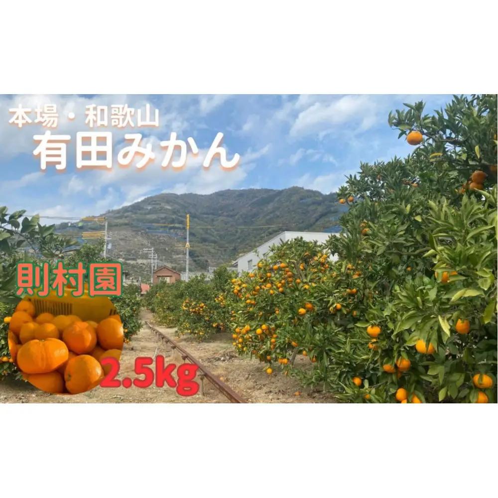則村園産 有田みかん 2.5kg 温州みかん みかん 蜜柑 甘い 甘いみかん 有田 有田川町 和歌山
