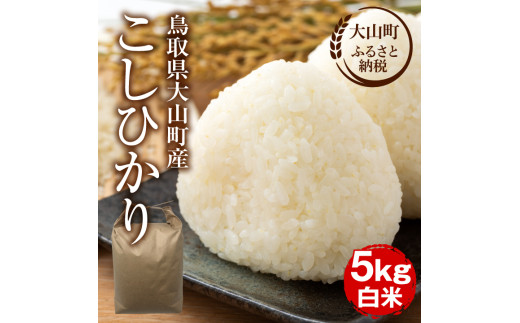 【令和8年10月以降発送新米】MS-97　大山町産こしひかり【大山の一粒】５ｋｇ（白米）