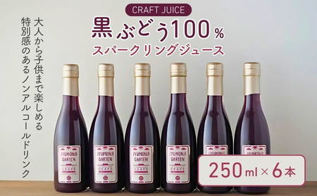 黒ぶどうジュース 100％スパークリング（250ml×6本）