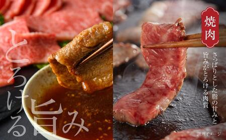 飛騨牛 焼肉 厳選2種盛（赤身・カルビ） 600g（150g×各2パック） | 焼肉 MZ008