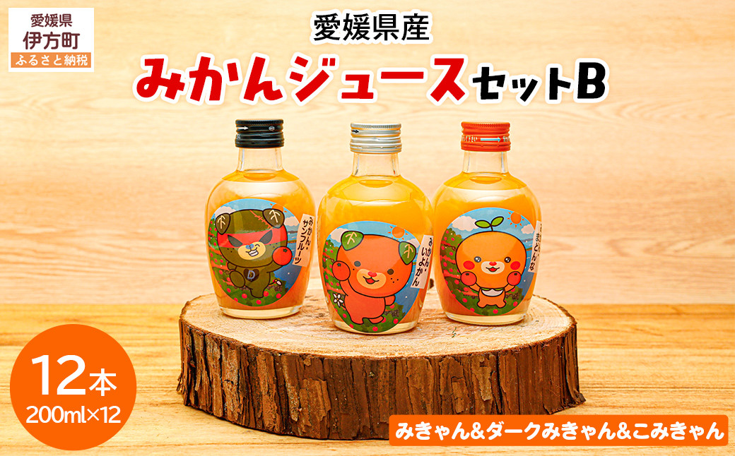 
            みかんジュースセットＢ 200ml×12本 ※北海道、沖縄・離島への配送不可 【 ふるさと納税 人気 おすすめ ランキング 飲料 飲み物 ソフトドリンク 果物 フルーツ 柑橘 ミカン 国産 ミカンジュース みかんジュース ギフト おすそ分け お土産 贈り物 プレゼント 愛媛県 伊方町 送料無料 】 IKTI019 
          