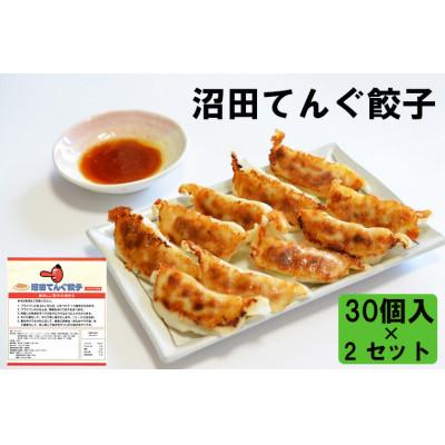 ふるさと納税 沼田市 沼田てんぐ餃子30個入×2セット