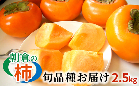 柿 朝倉の柿はじめました。季節の朝倉の柿 約2.5kg 8-10玉 柿
