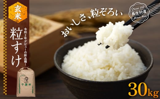 H04-B02 粒すけ（玄米30kg）令和7年産